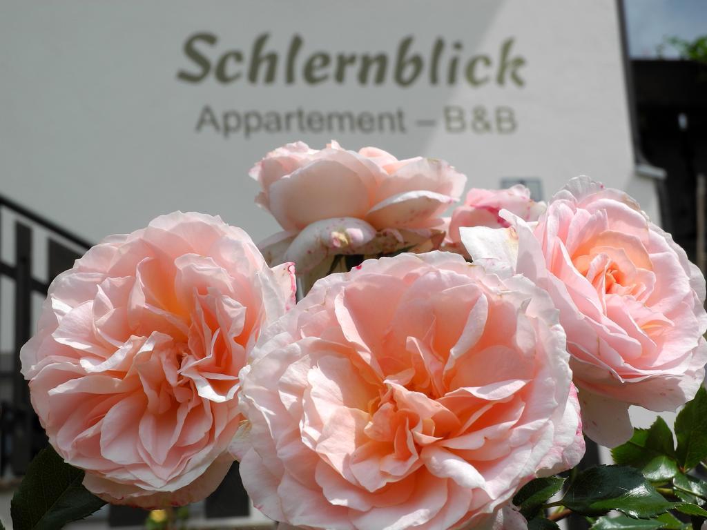 Haus Schlernblick Apartment โนวาโปเนนเต ภายนอก รูปภาพ